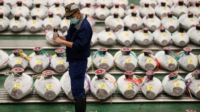 Tokyo's major fish market hit hard by coronavirus pandemic