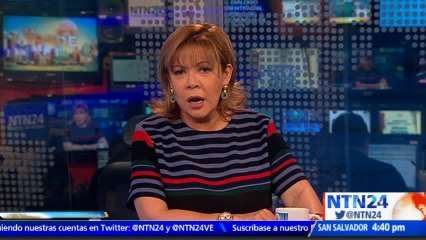 ¡Tierna exhibición! cachorro de oso polar es presentado en Dinamarca