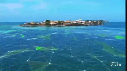 Emisión 7:00 p.m. / lunes 30 de marzo de 2020