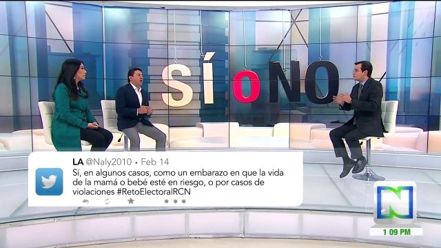 ¿Aprobaría la interrupción voluntaria del embarazo en los tres primeros meses de gestación?