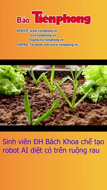 Sinh viên ĐH Bách Khoa chế tạo robot AI diệt cỏ trên ruộng rau.