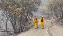 Los incendios forestales no dan tregua en la costa oeste de Estados Unidos