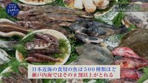 ＮＨＫスペシャル　列島誕生　ジオ・ジャパン２（２）「列島大分裂」300万年前の西日本。2020年6月21日