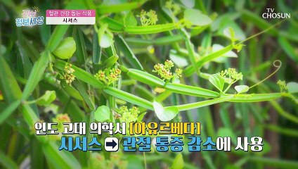 ❛□□□❜ 혈관 청소 돕는 최고의 식품!