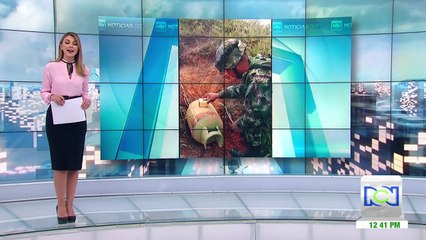 Ejército desactiva carga explosiva en Campamento, Antioquia