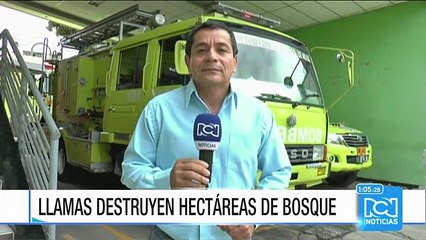 Emergencia en Huila por incendio forestal que afecta al municipio de Tesalia