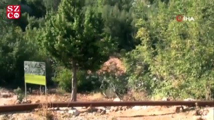 Roma yolu gün yüzüne çıkarıldı