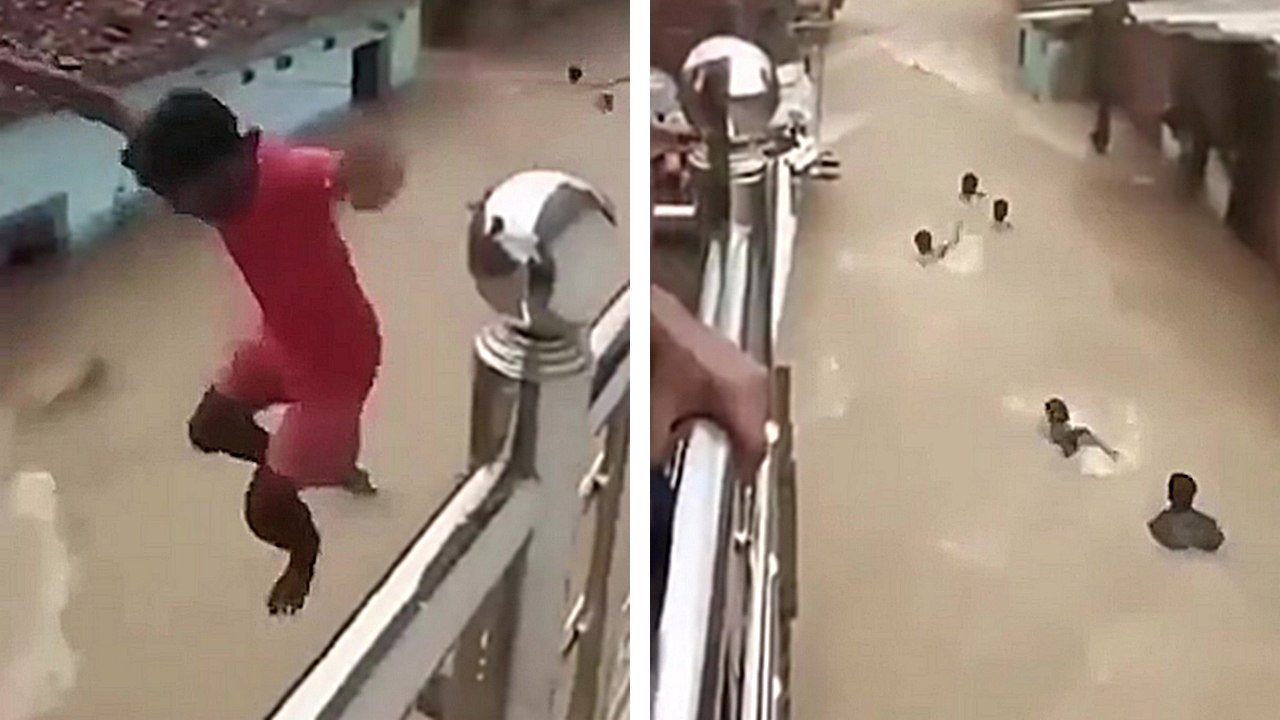 Ils plongent volontairement dans un torrent pendant de fortes inondations (Inde)
