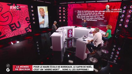Le monde de Macron : Pour le maire écolo de Bordeaux, le sapin de Noël est un "arbre mort".... donc il les supprime ! - 11/09