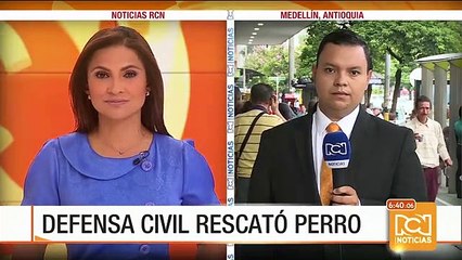 Defensa Civil logró salvar a un perro en Medellín