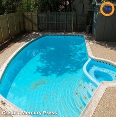 Il achète une maison délabrée et découvre une piscine bien cachée