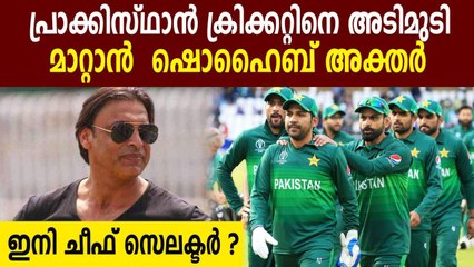 Shoaib Akhtar as Pakistan Cricket Board chief selector? Rumours swirl after discussions