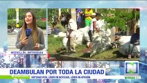 Preocupación por el aumento de habitantes de calle en Medellín