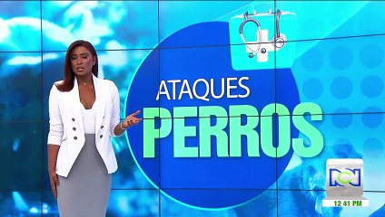 Niña de cuatro años fue atacada por un perro en Medellín