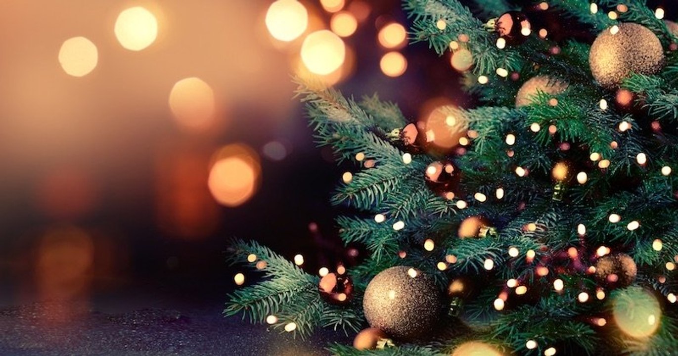 Bordeaux : le maire écolo enlève les sapins des décorations de Noël, refusant de « mettre des arbres morts » dans la ville