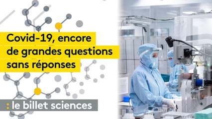 Six mois de pandémie de Covid-19 et encore beaucoup de questions