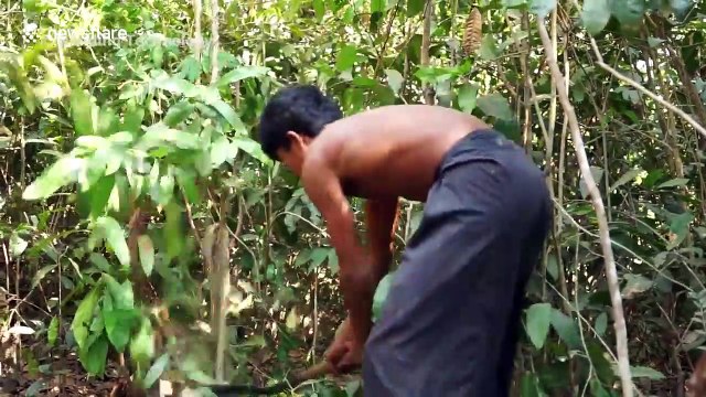 Cambodian craftsmen build impressive bird nest swimming pool from jungle materials
