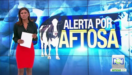 "El ministro tendrá que responder": Fedegán sobre brote de aftosa