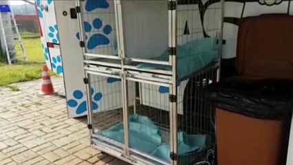 Castramóvel presta atendimentos no Bairro Cascavel Velho