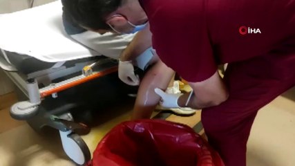 Sokak köpeğinin saldırısına uğrayan genç hastanelik oldu