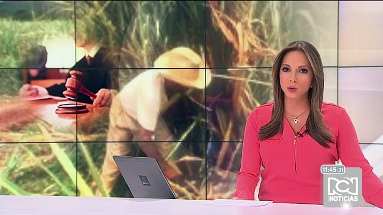 Abogado de Asocaña asegura que ingenios azucareros no operaron como cartel