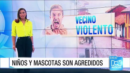 Denuncian a hombre que ataca a niños, perros y carros en barrio al sur de Bogotá