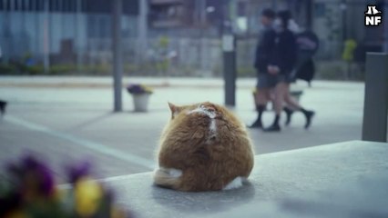 [NF] Parallel School Days ep1