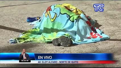 Reportan un cadáver en una vereda de la av. Eloy Alfaro, norte de Quito