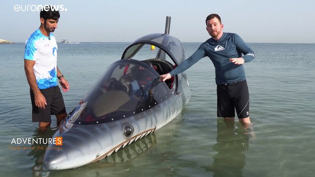 Приручить акулу : в Дубае катаются на Sebreacher