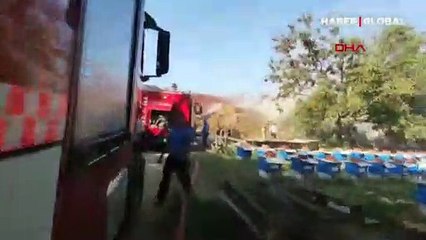 Arıların saldırısına rağmen yangını söndüren itfaiye erleri zor anlar yaşadı