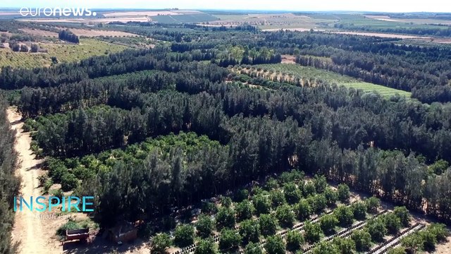 Tunisia's startups target saving water & bees to counter global warming's effects