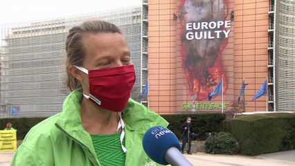 Acción espectacular de Greenpeace en Bruselas en defensa de la selva amazónica