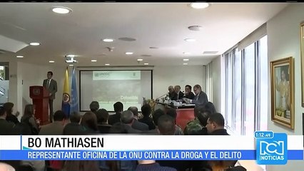 La ONU revela informe que demuestra aumento de los cultivos de coca en Colombia
