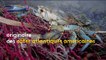 Méditerranée : un crabe à pinces bleues désespère les pêcheurs