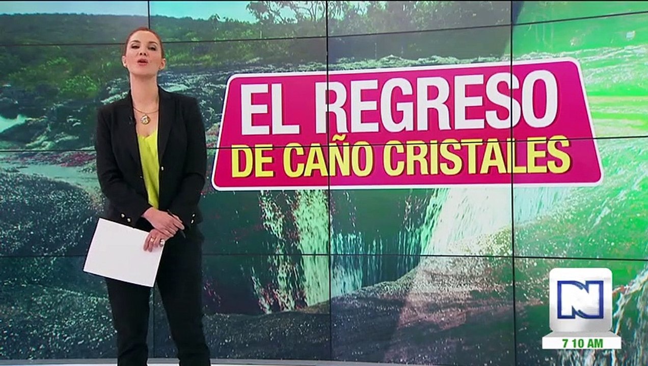 El ecoturismo en Caño Cristales, el río más her...