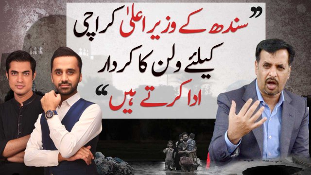 Every CM of Sindh had played his role like a villain for Karachi: Mustafa Kamal