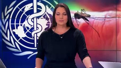 OMS convoca reunión urgente por la proliferación rápida del virus zika