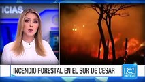 Incendio destruyó 200 hectáreas de bosque y vegetación nativa en Cesar