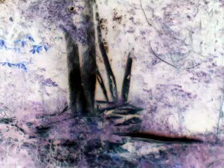 An Den Abendstern vocals only