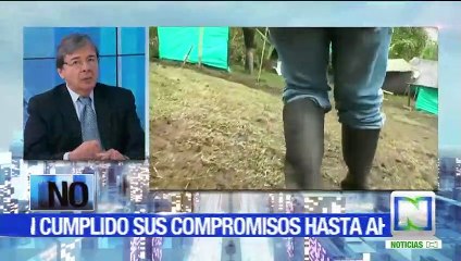 ¿Cree que las Farc han cumplido sus compromisos hasta ahora?