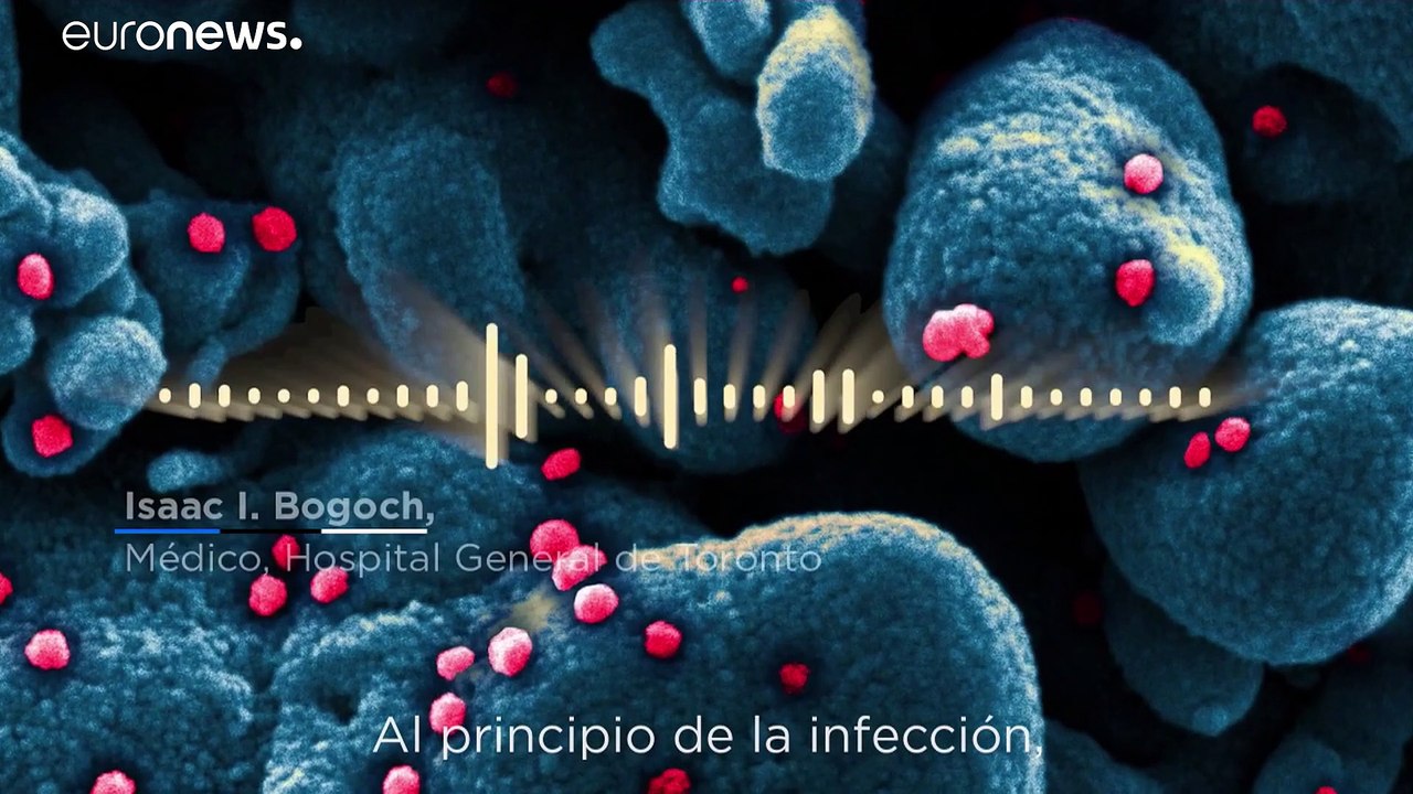 ¿Cómo funcionan las pruebas de la COVID-19 y cómo puedes conseguir una?