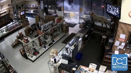 Impresionante robo en tienda de armas en Texas
