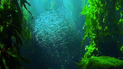 Temukan Ide dengan Alunan Piano yang Menyenangkan dan Membuat Anda Fokus