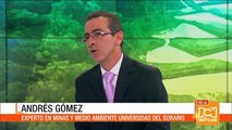 Experto en minas y medio ambiente explica los daños que deja la minería ilegal