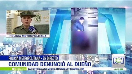 Policía rescató en Bogotá a mascota que fue maltratada