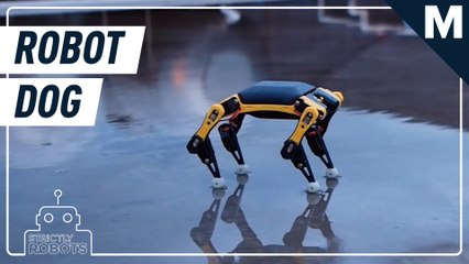 Petoi Bittle is a palm-sized robot dog made for STEM learning — Strictly Robots