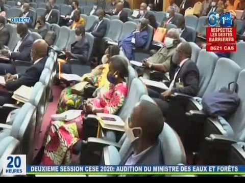 RTG / Audition du Ministre des Eaux et Forêts à la 2éme session du CESE