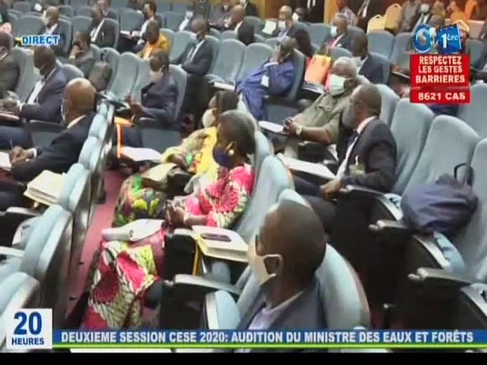 RTG / Audition du Ministre des Eaux et Forêts à la 2éme session du CESE