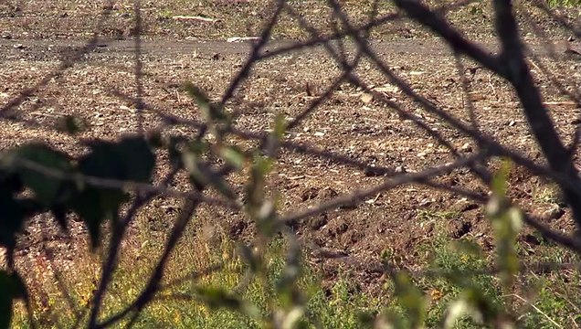 Des matières suspectes enfouies au Mont-Farlagne