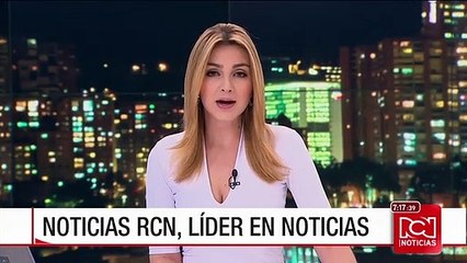 Denuncian que palomas están siendo envenenadas en el barrio Venecia de Bogotá